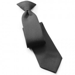 CLIP-ON TIE