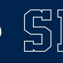 HANES COTTON LS BEEFY T-SHIRT - GRAY